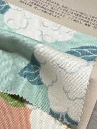 850553 Coliflor De Algodón Oxford Sin Blanquear[Fabrica Textil] VANCET Subfoto