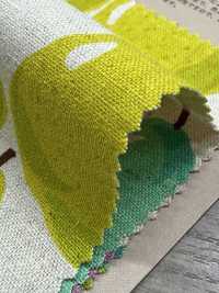 850595 Lino Lienzo De Lino Pera[Fabrica Textil] VANCET Subfoto