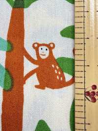 850600 Tela Ancha, Estilo Pop: Mono Tropical[Fabrica Textil] VANCET Subfoto
