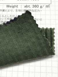 SBC1950 Acabado Lavado Secado Al Sol De Pana 5W[Fabrica Textil] SHIBAYA Subfoto