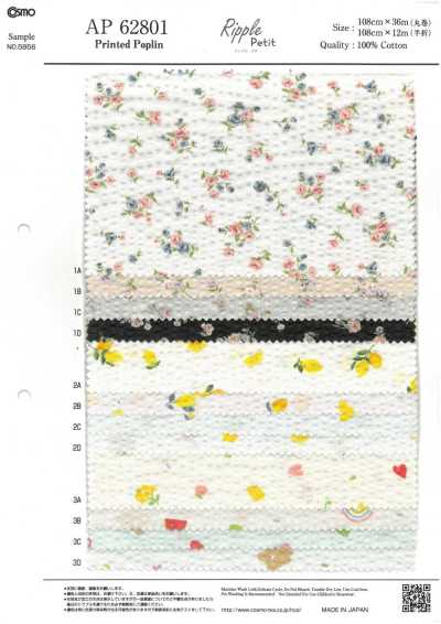 AP62801 Popelina Ripple Petit (rollo)