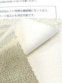 M600 Cruz Coja[Fabrica Textil] Suncorona Oda Subfoto