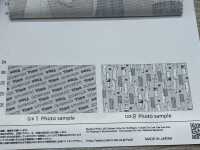 AP61109 Lala Labo Oxford (Rollo Redondo)[Fabrica Textil] COSMO TEXTILE Subfoto