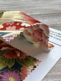 AP62902 Satén Con Estampado Dorado Colorido (Rollo Redondo)[Fabrica Textil] COSMO TEXTILE Subfoto