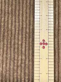 ND7035 Algodón/Modal 9W Pana Nidom Bioprocesada[Fabrica Textil] Kumoi Beauty Subfoto