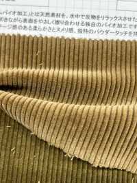 ND7025 Pana Orgánica Shankar 9W Bioprocesada[Fabrica Textil] Kumoi Beauty Subfoto