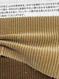 ND7005 9W Pana Pana Con Bioprocesamiento Nidom[Fabrica Textil] Kumoi Beauty Subfoto