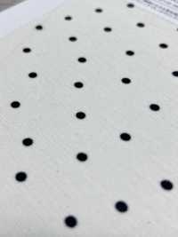 KKP8036-W-SB-321 Camiseta BR×SD100d De Ancho Ancho[Fabrica Textil] Uni Textile(Estudio Komon) Subfoto