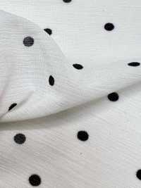 KKP8036-W-SB-321 Camiseta BR×SD100d De Ancho Ancho[Fabrica Textil] Uni Textile(Estudio Komon) Subfoto