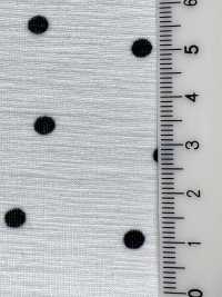 KKP8036-W-SB-321 Camiseta BR×SD100d De Ancho Ancho[Fabrica Textil] Uni Textile(Estudio Komon) Subfoto