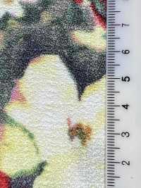 KKP8612-143 Carnicera Marónica[Fabrica Textil] Uni Textile(Estudio Komon) Subfoto