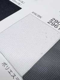 2900 [Recubrimiento] Subfoto