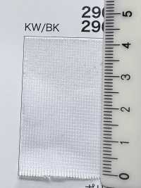 2961 [Recubrimiento] Subfoto