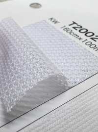 T2002 [Recubrimiento] Subfoto