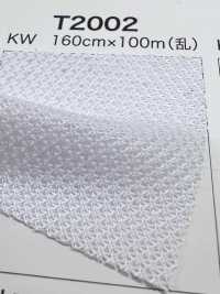 T2002 [Recubrimiento] Subfoto