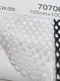 7070H [Recubrimiento] Subfoto