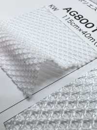 AG8001 [Recubrimiento] Subfoto