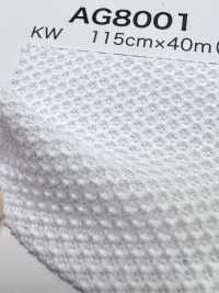 AG8001 [Recubrimiento] Subfoto