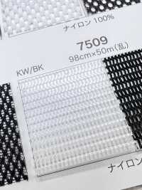 7509 [Recubrimiento] Subfoto