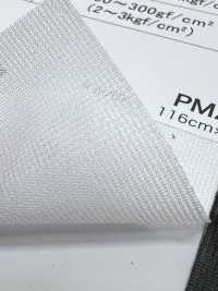 PM2900 [Recubrimiento] Subfoto