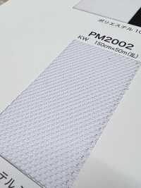 PM2002 [Recubrimiento] Subfoto