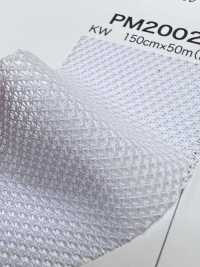 PM2002 [Recubrimiento] Subfoto