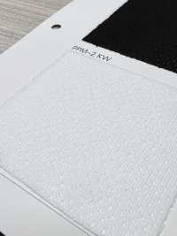 PPM-2 [Recubrimiento] Subfoto