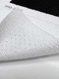 PPM-2 [Recubrimiento] Subfoto