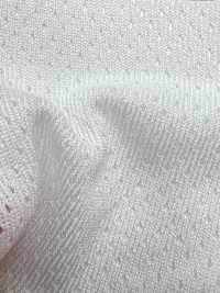 PPM-2 [Recubrimiento] Subfoto