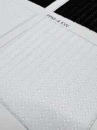 PPM-4 [Recubrimiento] Subfoto