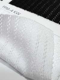 PPM-4 [Recubrimiento] Subfoto