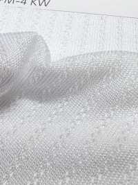 PPM-4 [Recubrimiento] Subfoto