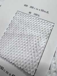 800 [Recubrimiento] Subfoto