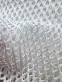 800 [Recubrimiento] Subfoto