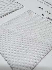 MY45 [Recubrimiento] Subfoto