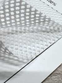 MY45 [Recubrimiento] Subfoto