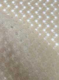 6400 [Recubrimiento] Subfoto