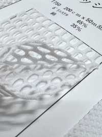 T750 [Recubrimiento] Subfoto