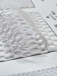 T750 [Recubrimiento] Subfoto