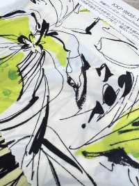 KKP9935-W-HM-77 Fibra Dividida De Ancho Ancho De China[Fabrica Textil] Uni Textile(Estudio Komon) Subfoto