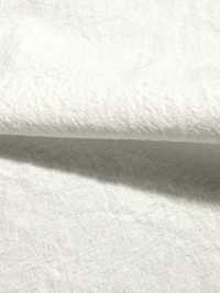 KINANADAKI-31 KINANADAKI 31, Fizz Fizz Fizz Fizz ~~[Fabrica Textil] Textil Komatsuwa Subfoto