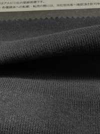 1078650 ALBINI RETWIST 30/1 Canalé Circular[Fabrica Textil] TAKISADA NAGOYA Subfoto