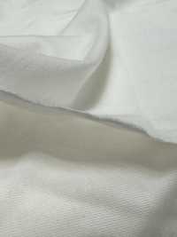 1078420-OUTLET Jersey De Algodón De La Isla Del Mar De Albini[Fabrica Textil] TAKISADA NAGOYA Subfoto