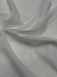 1078420-OUTLET Jersey De Algodón De La Isla Del Mar De Albini[Fabrica Textil] TAKISADA NAGOYA Subfoto