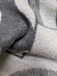 MKA6400 Ballena[Fabrica Textil] Marukyo Textile Subfoto