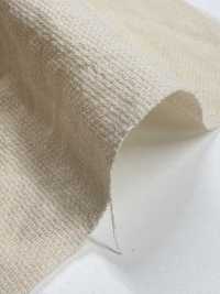 BC1867 Malla De Puntos De Tejido Leno Weave[Fabrica Textil] COSMO TEXTILE Subfoto