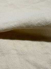 BC1867 Malla De Puntos De Tejido Leno Weave[Fabrica Textil] COSMO TEXTILE Subfoto