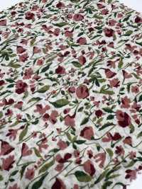 4027-680-4 80 Flores Geométricas Miracle Wave Para Césped[Fabrica Textil] HOKKOH Subfoto