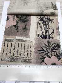 7027-710-5 Enciclopedia De Plantas De Asientos CL[Fabrica Textil] HOKKOH Subfoto