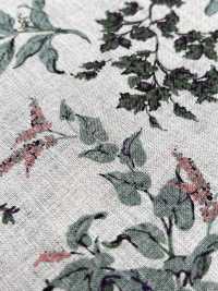 7027-720-2 100% Lino Loomstate Angel Soft Leaf Fruit[Fabrica Textil] HOKKOH Subfoto